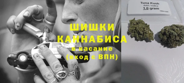 прущий лед Алзамай