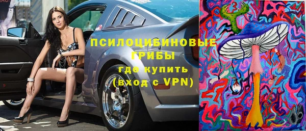 твердый Алексеевка