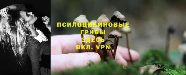 прущий лед Алзамай