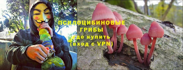 твердый Алексеевка