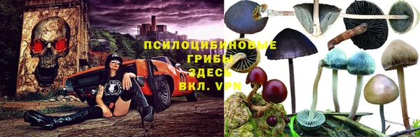 твердый Алексеевка