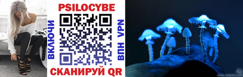 Галлюциногенные грибы Cubensis  omg маркетплейс  Баймак  где купить наркоту 